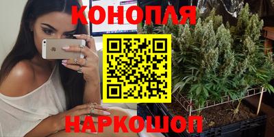 сатива Донецк