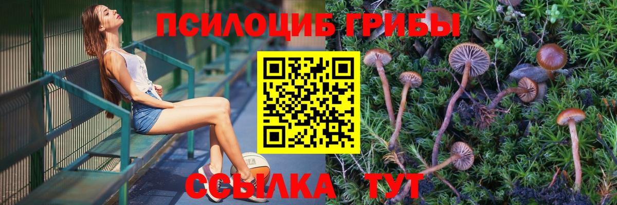 Псилоцибиновые грибы Psilocybe  Вход с VPN  Моздок 