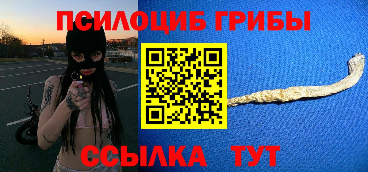 Псилоцибиновые грибы мицелий Моздок